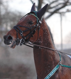 Random Shot 160114-4